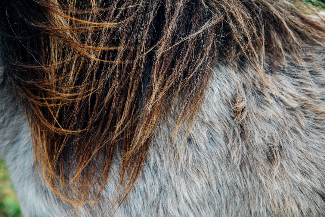 What Does Dry Hair Look Like? The Complete Visual Guide